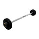 Troy 60 lb Black Cast Iron Fixed Barbell - Straight Bar and Black End Caps