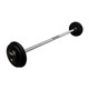 Troy 50 lb Black Cast Iron Fixed Barbell - Straight Bar and Black End Caps