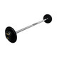 Troy 40 lb Black Cast Iron Fixed Barbell - Straight Bar and Black End Caps
