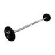 Troy 30 lb Black Cast Iron Fixed Barbell - Straight Bar and Black End Caps