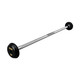 Troy 20 lb Black Cast Iron Fixed Weight Bar with Black End Caps