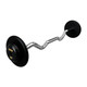 Troy 40 lb Black Cast Iron Fixed Barbell - EZ Curl Bar and Black End Caps