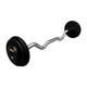 Troy 50 lb Black Cast Iron Fixed Curl Bar with Black End Caps