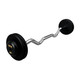 Troy 60 lb Black Cast Iron Fixed Barbell - EZ Curl Bar and Black End Caps