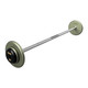 Troy 40 lb Gray Cast Iron Pro-Style Fixed Bar with Rubber End Caps