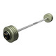 Troy 100 lb Gray Cast Iron Fixed Barbell w/ Straight Bar and Black End Caps