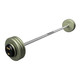 Troy 80 lb Gray Cast Iron Pro-Style Fixed Bar with Rubber End Caps
