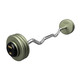 Troy 80 lb Gray Cast Iron EZ Weight Bar with Black End Caps