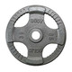Body-Solid 35 lb Cast Iron Grip Plate