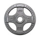 Body-Solid Cast Iron Olympic Grip Plates - 25 lb Size