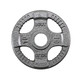 Body-Solid 10 lb Cast Iron Olympic Grip Plate