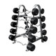 Troy Rubber-Coated Fixed Barbells w/ EZ Curl Bars and Optional Rack