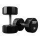 Troy 80 lb Gym Urethane Dumbbells