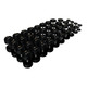 Troy 5-100 lb Commercial Cast Iron Weights with Black Rubber End Caps
