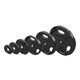 Troy (GO-R) Rubber-Coated Olympic Plates