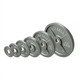 Troy USA Sports Gray Cast Iron Olympic Plate Set