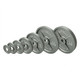 Troy USA Sports Gray Cast Iron Olympic Plates