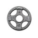 Body-Solid 5 lb Cast Iron Olympic Plate with Handles