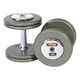 Troy Barbell (#HFD) Gray Pro-Style Dumbbells