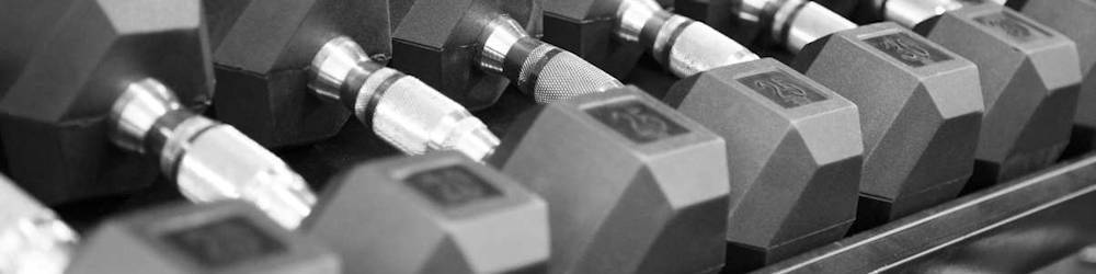 Dumbbell Set with Rack in Commercial Gym