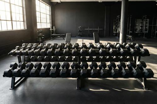 Commercial Dumbbells in Gym