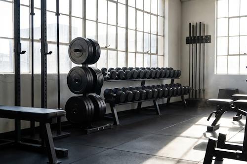 Gym Free Weights in Commercial Fitness Center