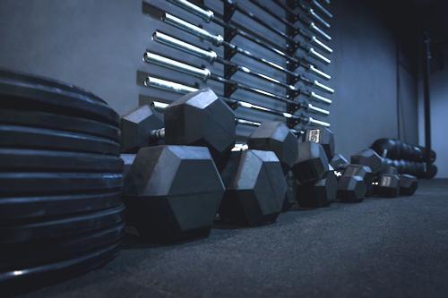 Gym Free Weights in Commercial Fitness Center