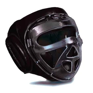 LEATHER HEADGEAR WITH CLEAR SHIELD