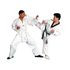 TIGER CLAW ELITE TAEKWONDO V-NECK UNIFORM