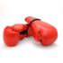 LEATHER BOXING GLOVES