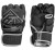 Ascension 2.0 MMA Gloves