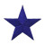 Achievement Star Patch