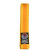 ProForce® 1.75" Single Wrap Gold Striped Karate Belt