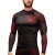 Hayabusa Geo Long Sleeve Rash Guard