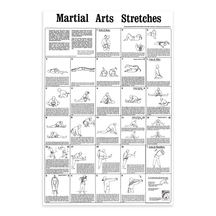 Martial Arts Stretches Poster