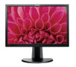 Lenovo ThinkVision LT2452P 24 inch Full HD IPS Widescreen Monitor