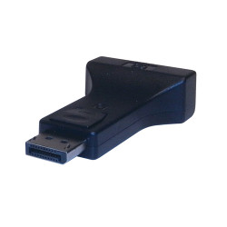 ComputerGear Displayport Male to DVI Female adapter