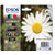 Epson 18XL T1816 C13T18164010 Genuine Multipack, Black, Cyan, Magenta, Yellow Ink Cartridge