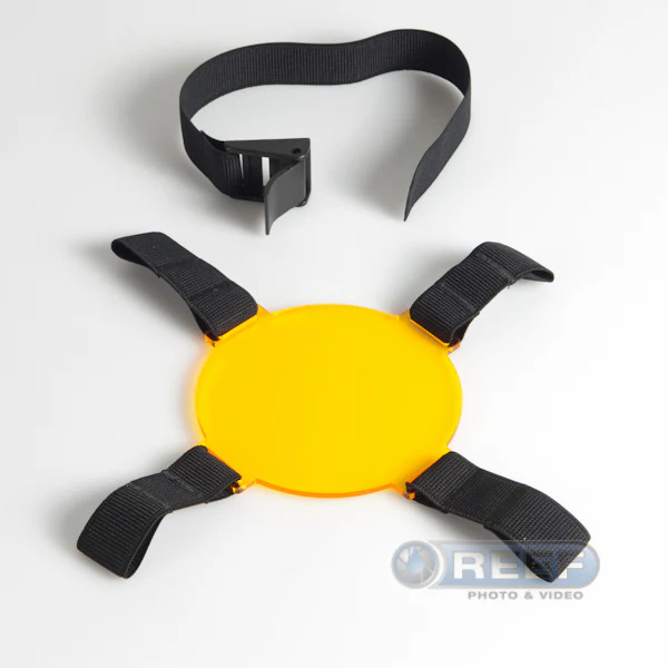 Glowdive yellow filter for bioluminescence photography