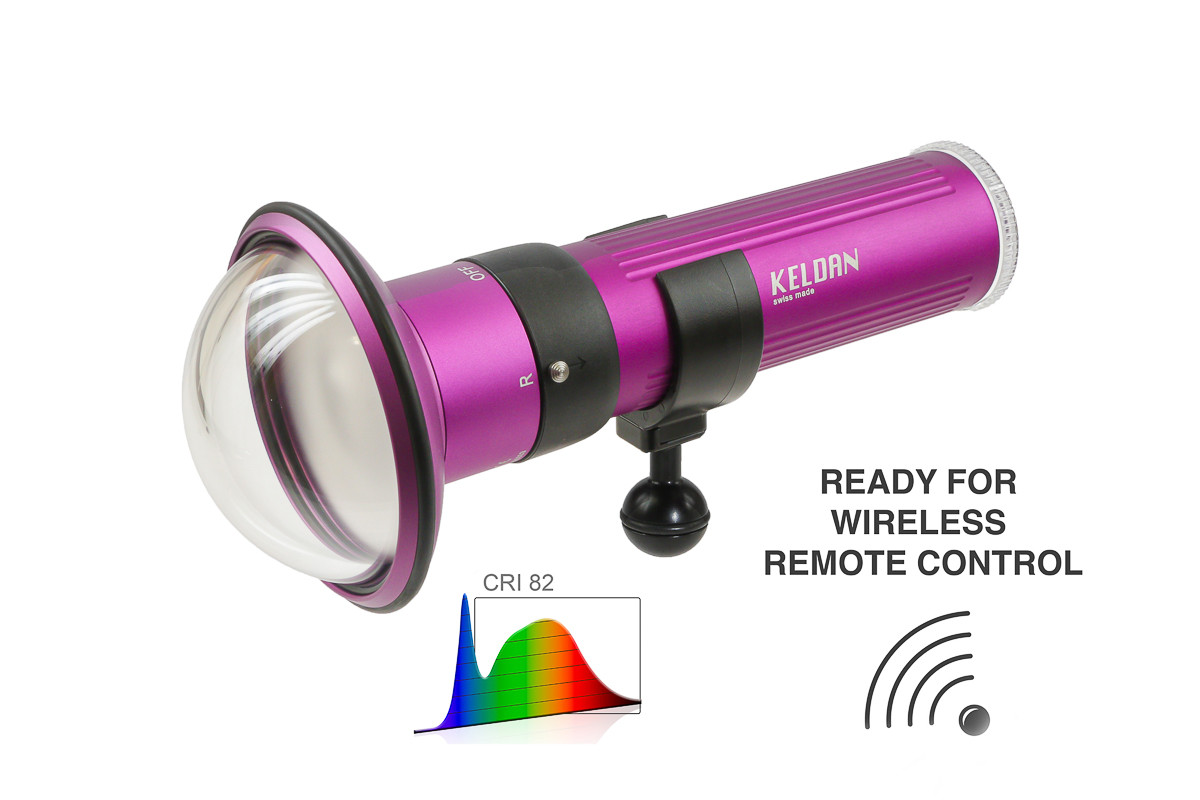 Keldan Video 8MR 11000lm CRI82