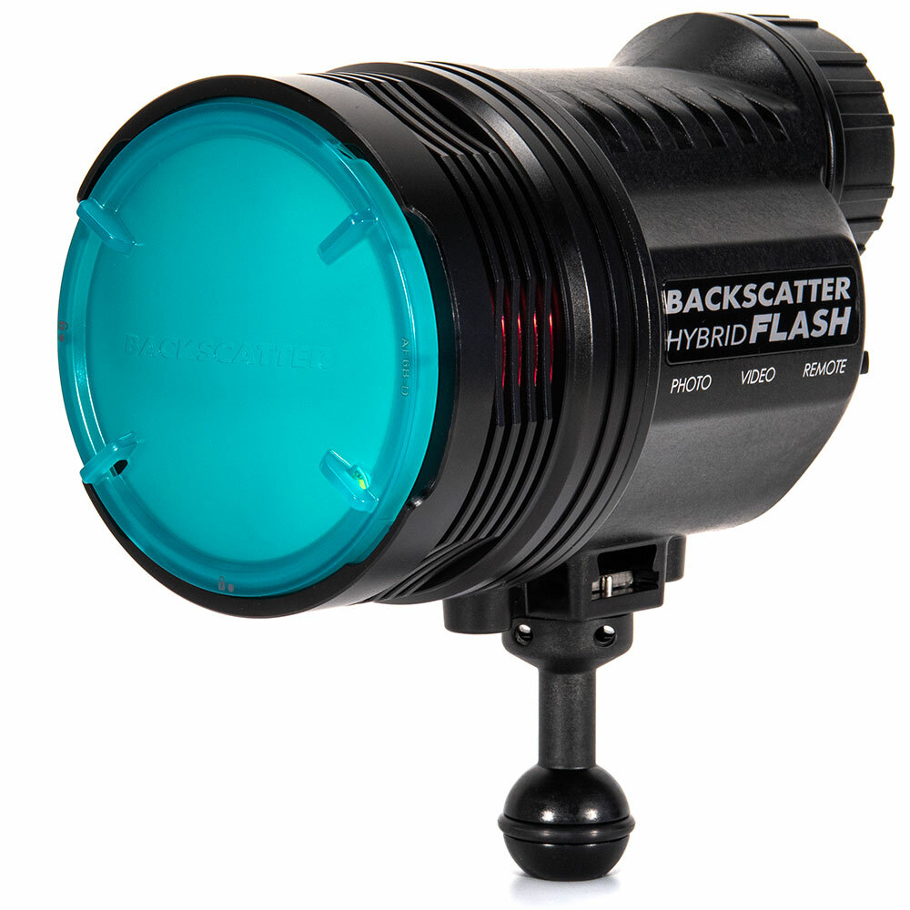 The Backscatter HF-1 Ambient Blue Flat Diffuser as fitted to the Backscatter Hybrid Flash Underwater Light