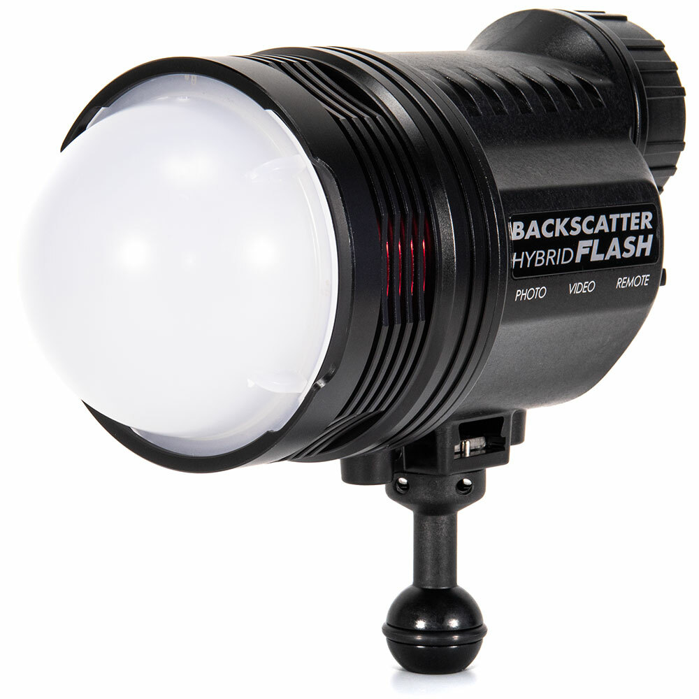 Backscatter White Dome Diffuser fitted on the Backscatter Hybrid Flash