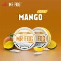 MR FOG NICOTINE POUCHES 4MG 20-PACK - DISPLAY OF 5