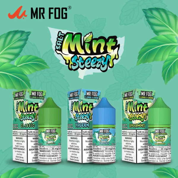 MR FOG SALT E-JUICE STEEZY SERIES 30ML