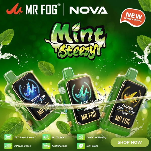 MR FOG NOVA MINT STEEZY 36,000 PUFFS VAPE - NEW