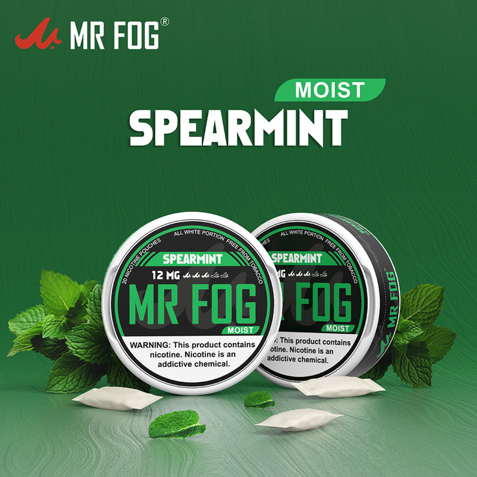 MR FOG NIC POUCHES 12MG - 20CT