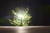 Solar Bollard Light Anti-Corrosion 94cm 200lm Multi Brightness Round