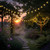 Solar Fairy Lights Warm White 50m 500 Globes Remote Control Commercial Grade