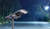 Solar Street Light Black 6000K 20W 3200lm Motion Sensor IP65 Commercial Grade