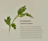 Beauty of Joseon Matte Sun Stick Mugwort and Camelia SPF50+ PA++++ moisturise and smooth skin